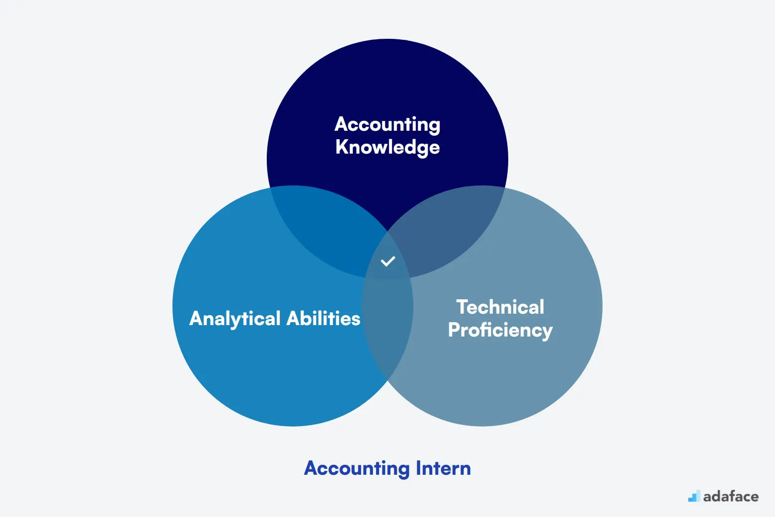 What makes up an ideal candidate for Accounting Intern