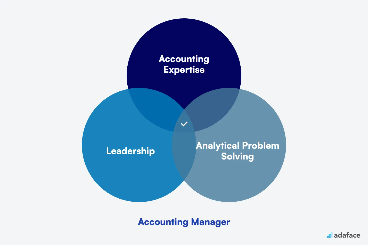 What makes up an ideal candidate for Accounting Manager