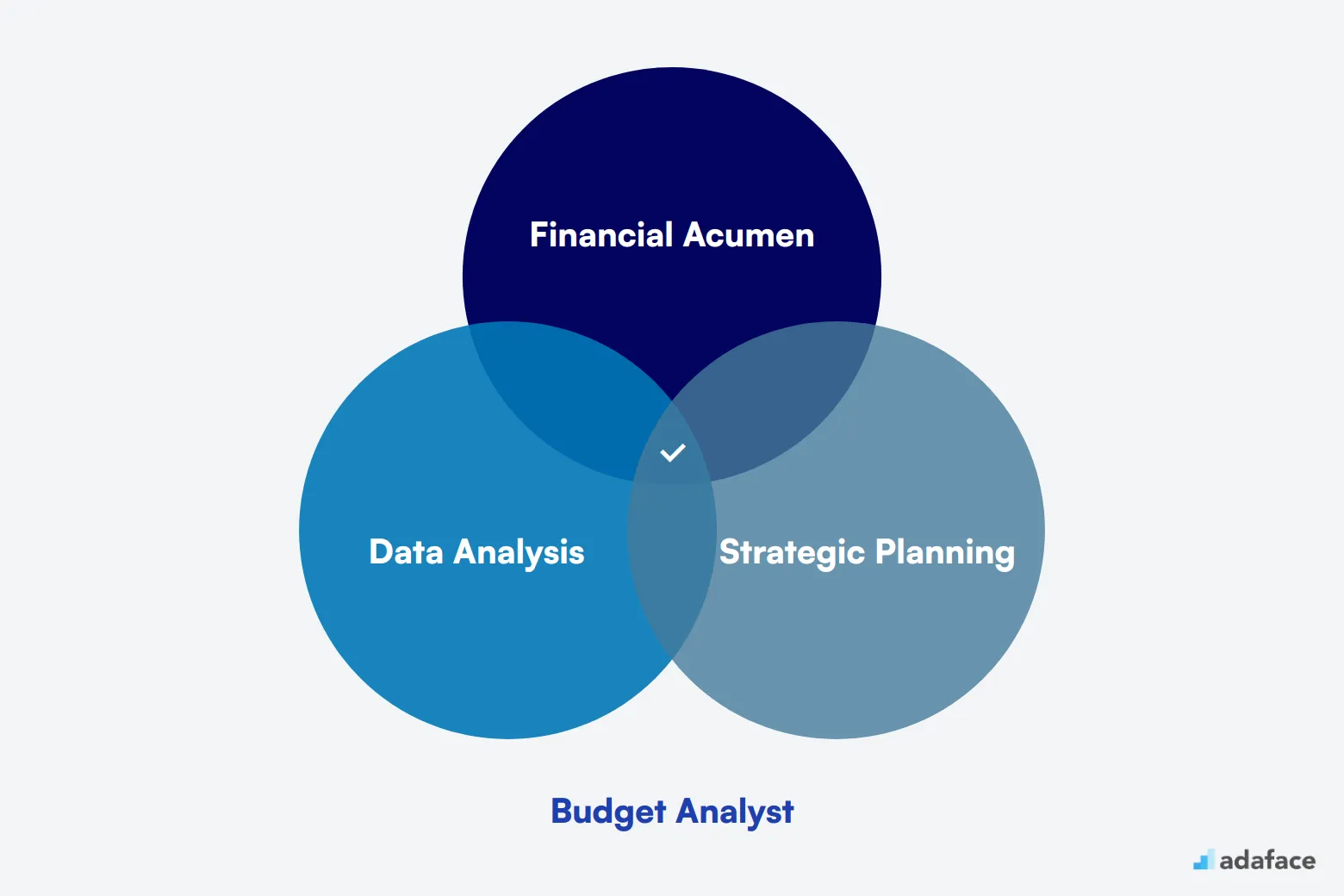 What makes up an ideal candidate for Budget Analyst