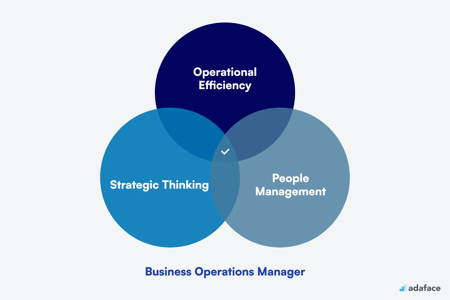 What makes up an ideal candidate for Business Operations Manager
