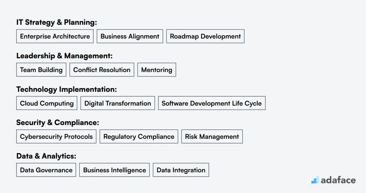 Ideal skills required for Chief Information Officer