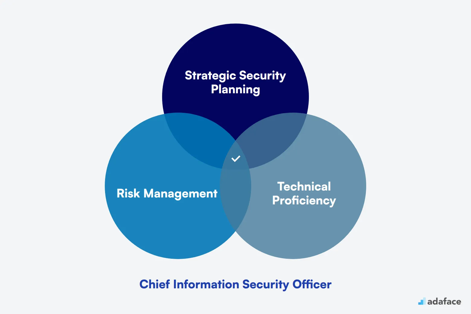 What makes up an ideal candidate for Chief Information Security Officer