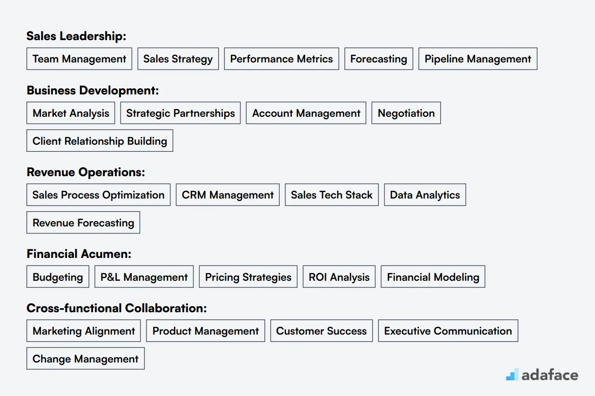 Ideal skills required for Chief Revenue Officer