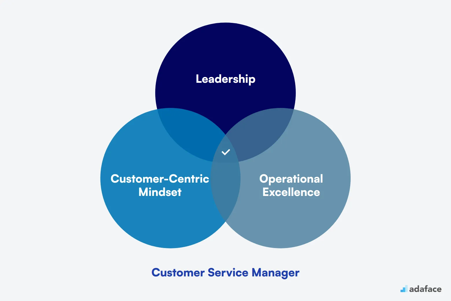 What makes up an ideal candidate for Customer Service Manager