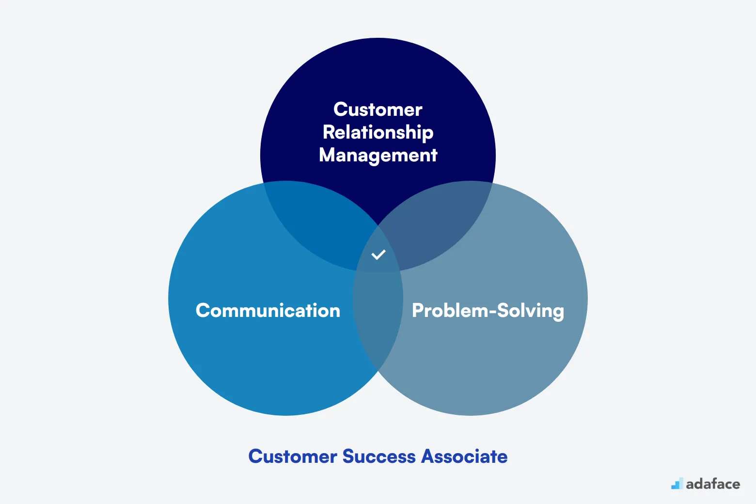 What makes up an ideal candidate for Customer Success Associate