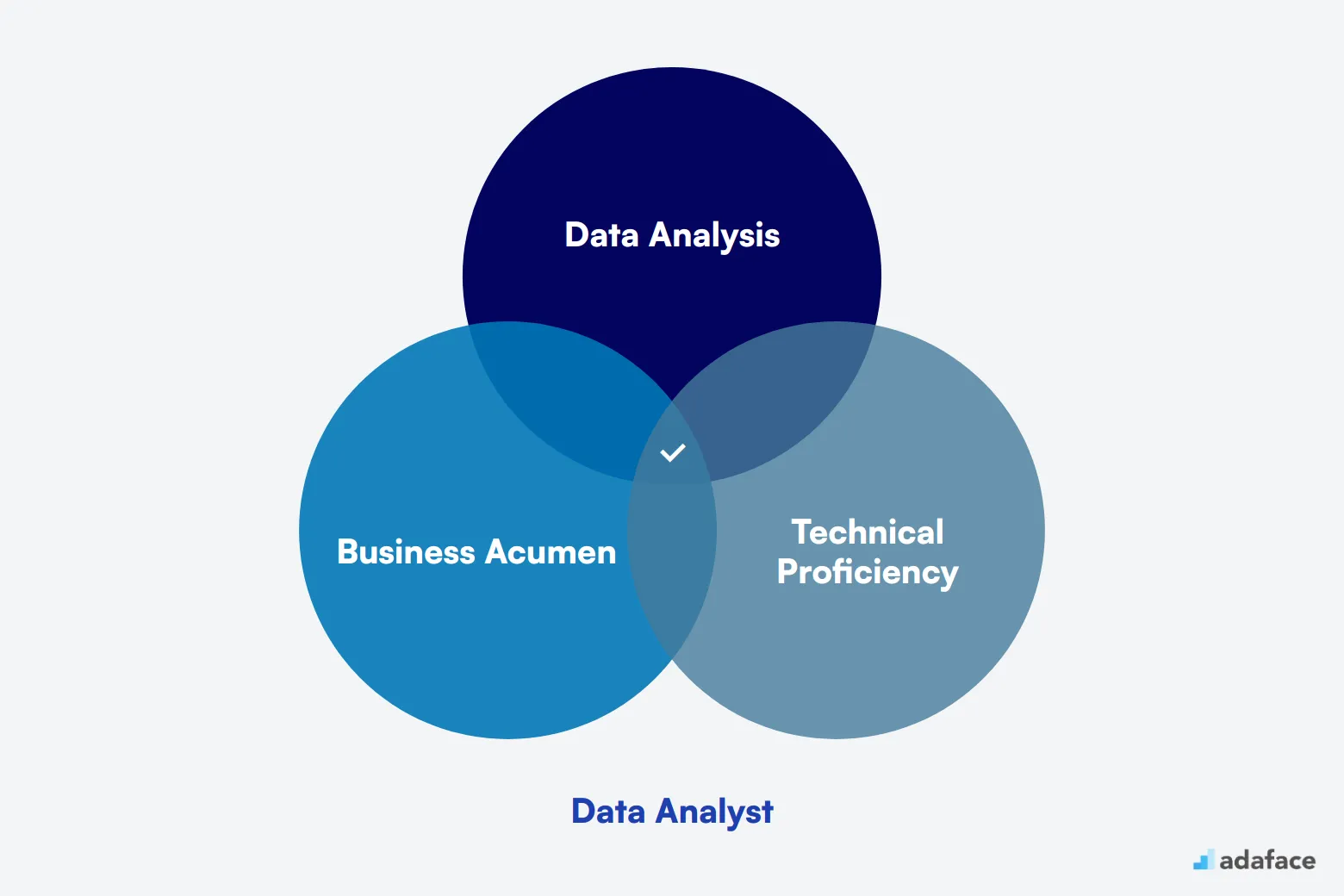 What makes up an ideal candidate for Data Analyst