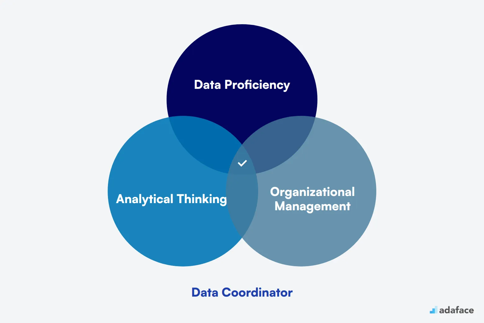 What makes up an ideal candidate for Data Coordinator