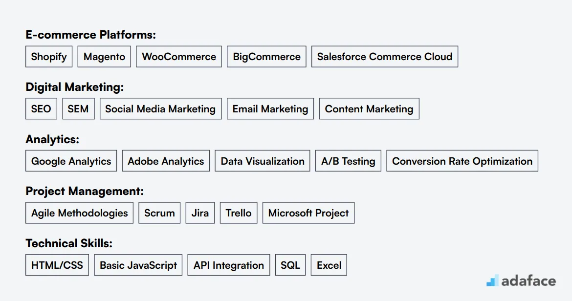 Ideal skills required for Ecommerce Manager