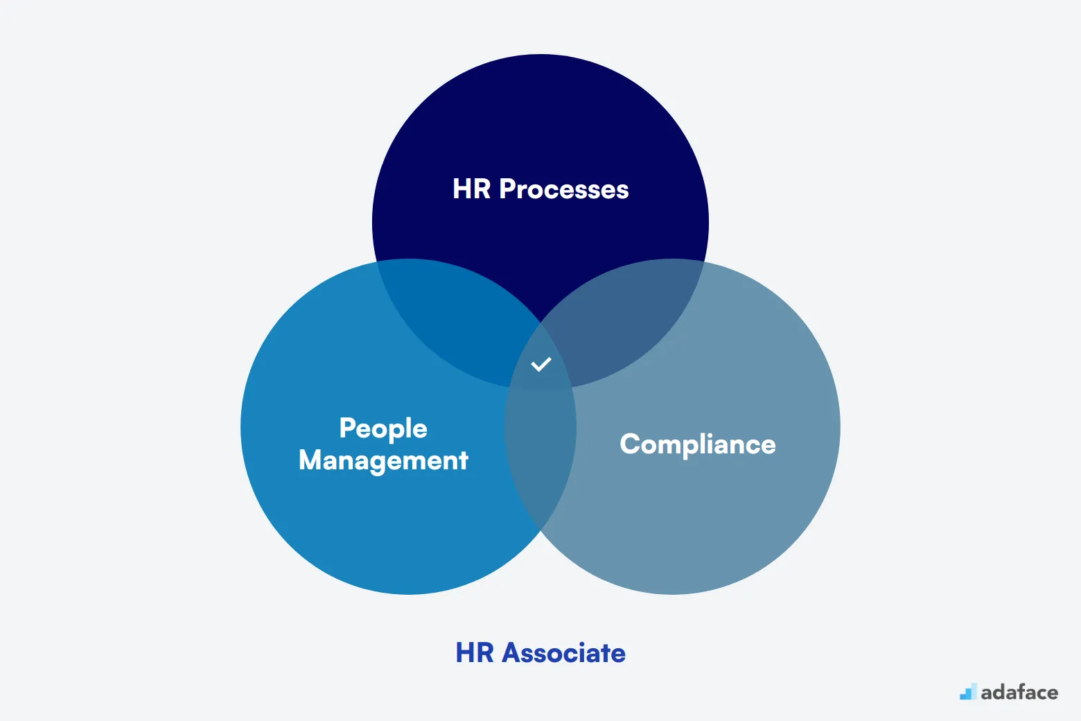 What makes up an ideal candidate for HR Associate