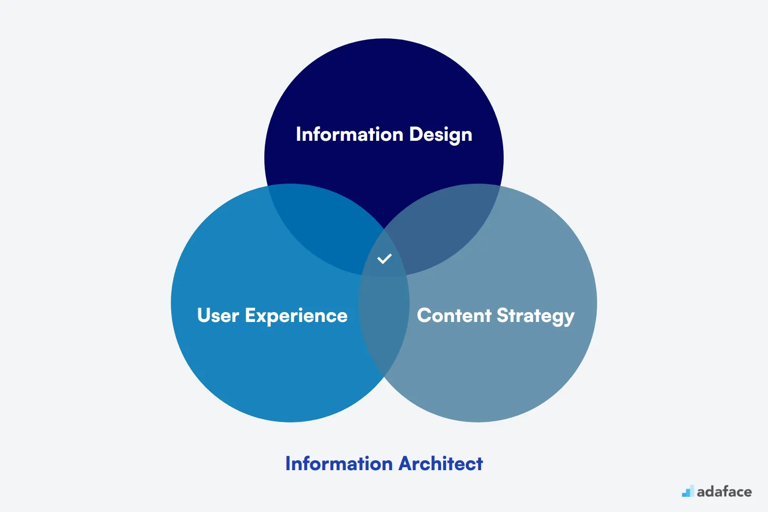 What makes up an ideal candidate for Information Architect