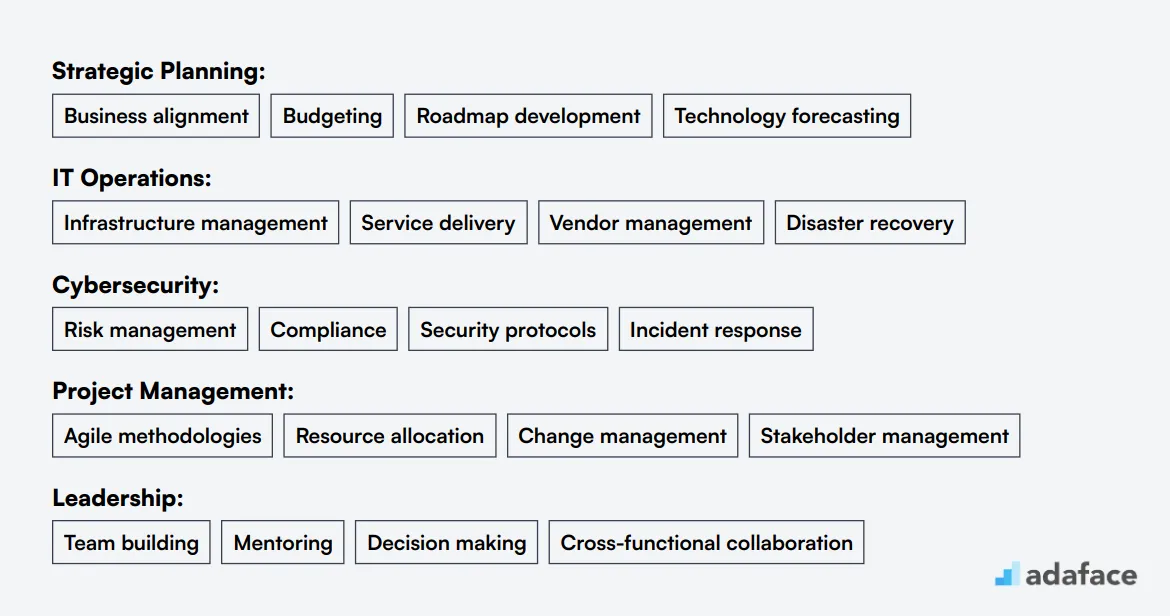 Ideal skills required for IT Director