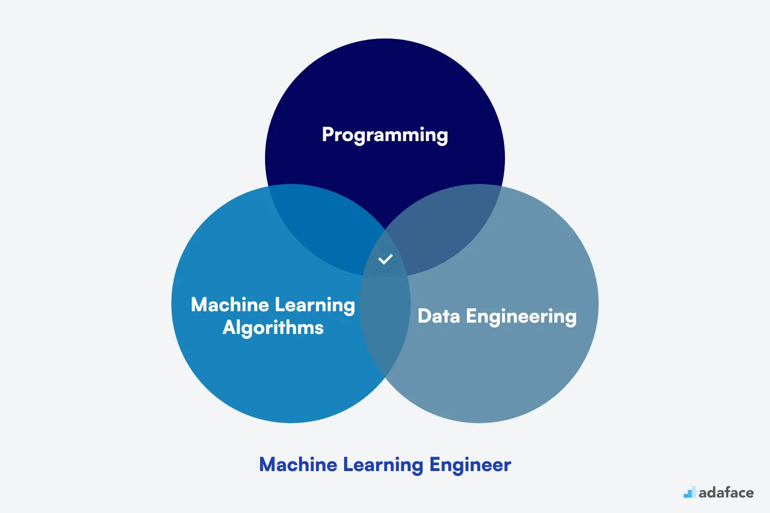 What makes up an ideal candidate for Machine Learning Engineer