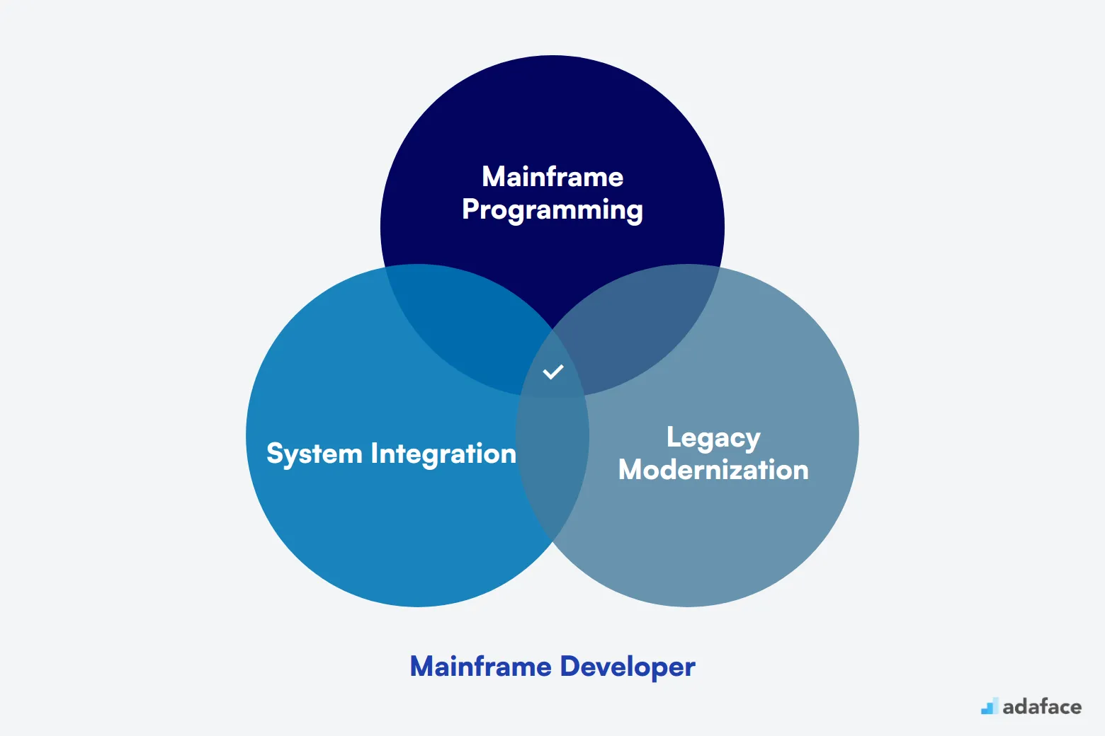 What makes up an ideal candidate for Mainframe Developer