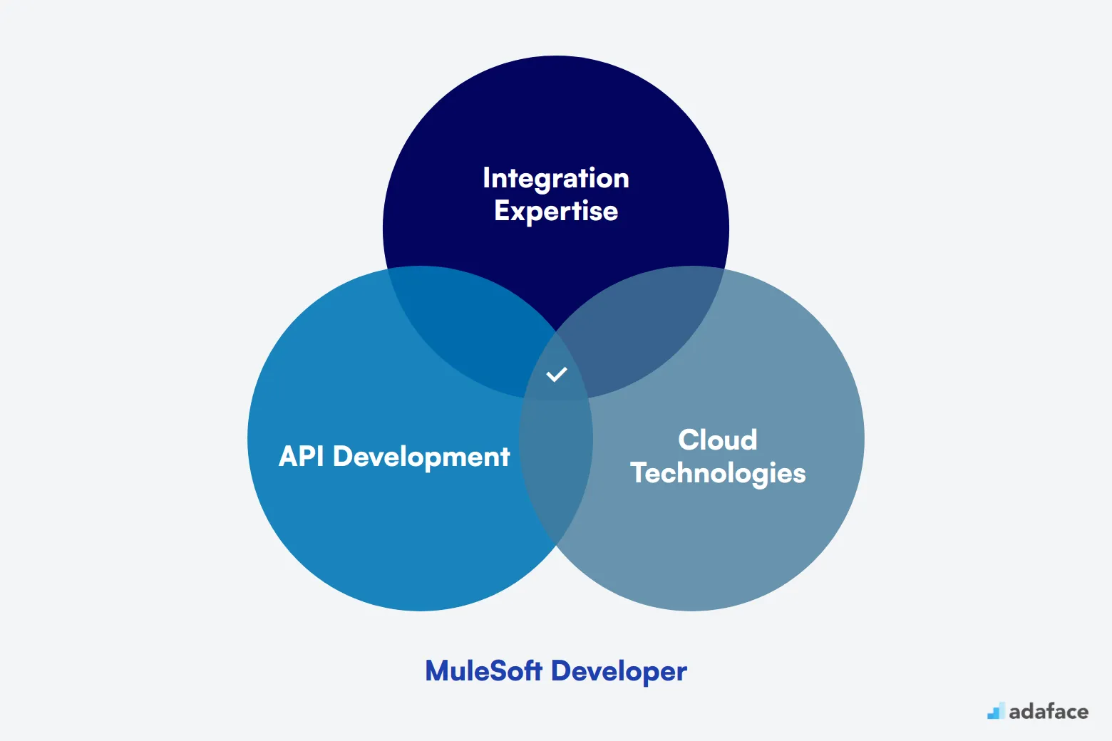 What makes up an ideal candidate for MuleSoft Developer