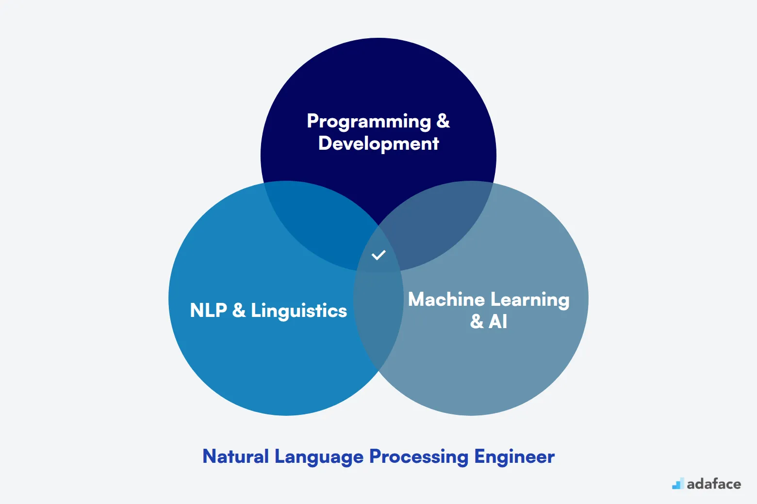 What makes up an ideal candidate for Natural Language Processing Engineer