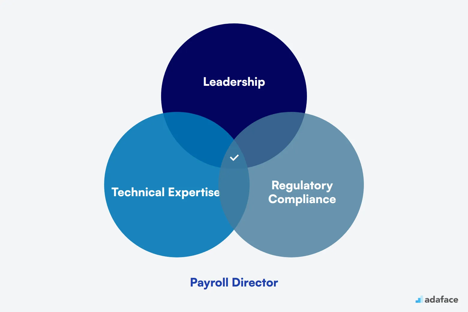 What makes up an ideal candidate for Payroll Director