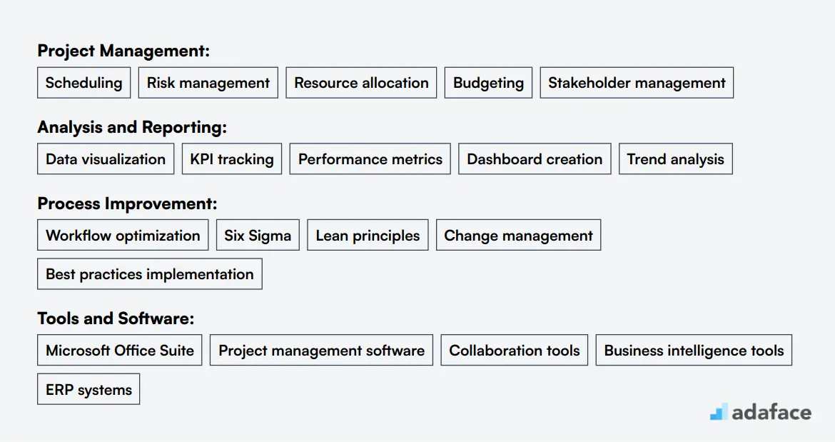 Ideal skills required for PMO Analyst