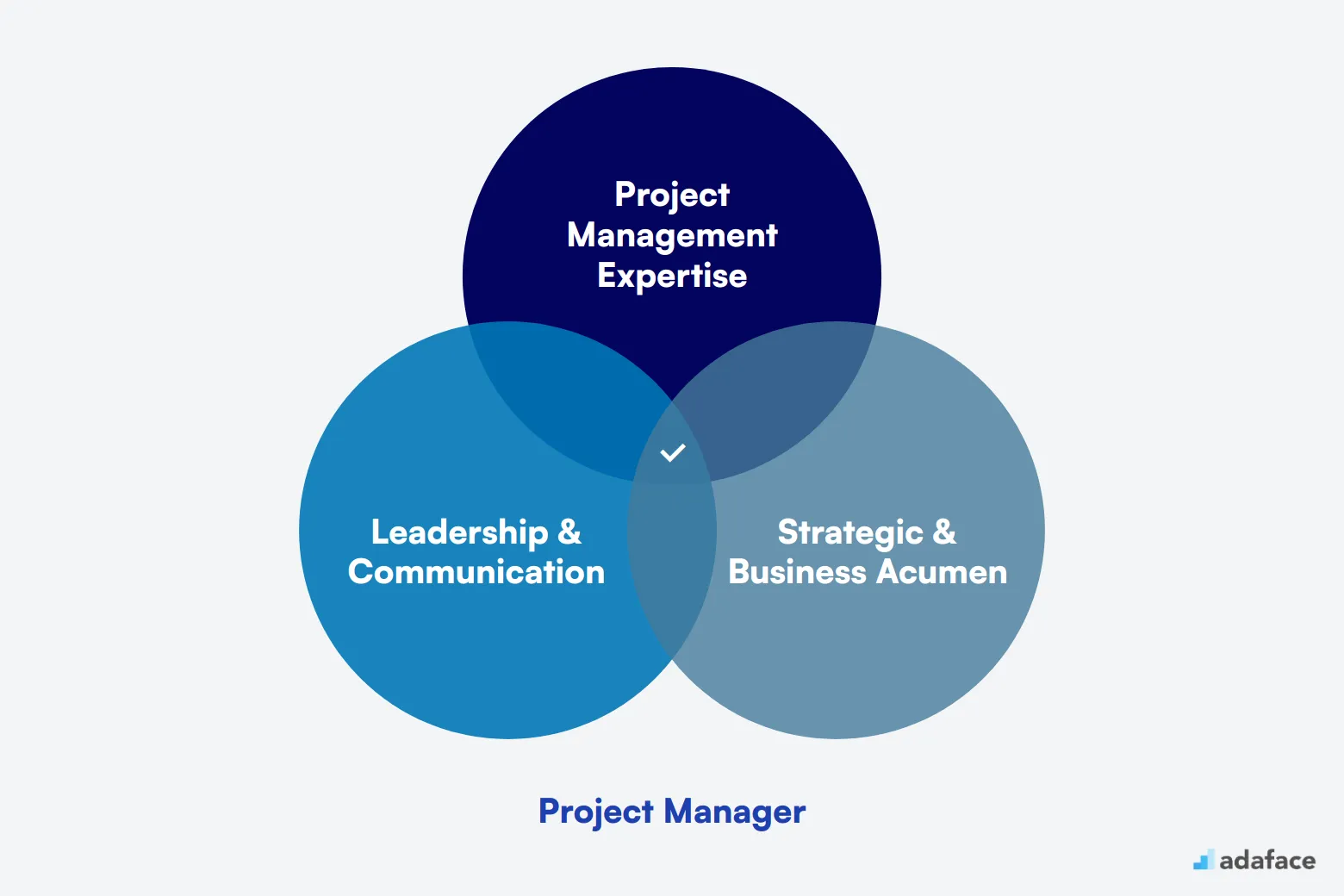 What makes up an ideal candidate for Project Manager