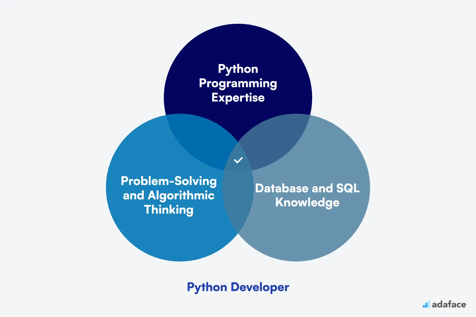 What makes up an ideal candidate for Python Developer