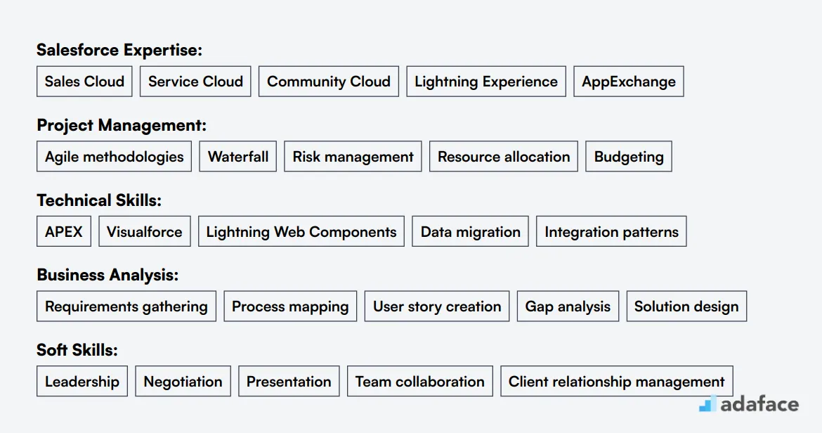 Ideal skills required for Salesforce Project Manager