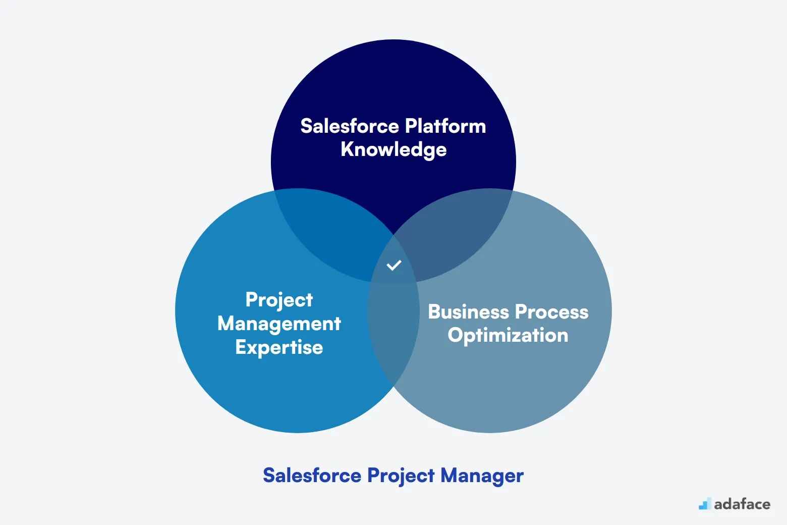 What makes up an ideal candidate for Salesforce Project Manager