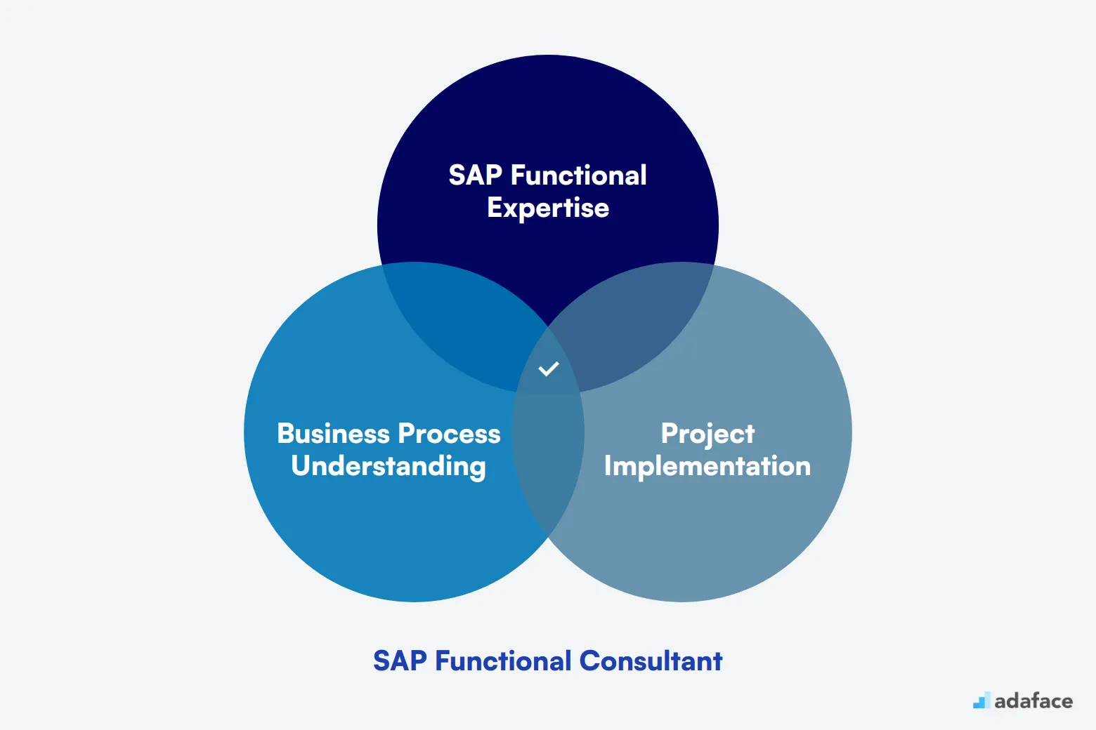 What makes up an ideal candidate for SAP Functional Consultant