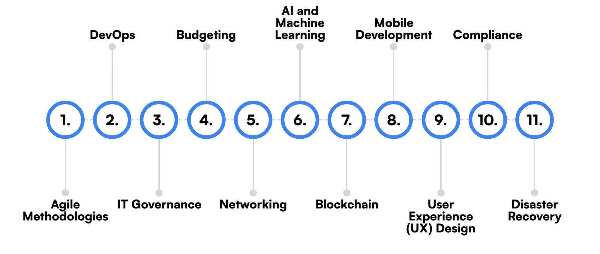 11 secondary Chief Technology Officer skills and traits