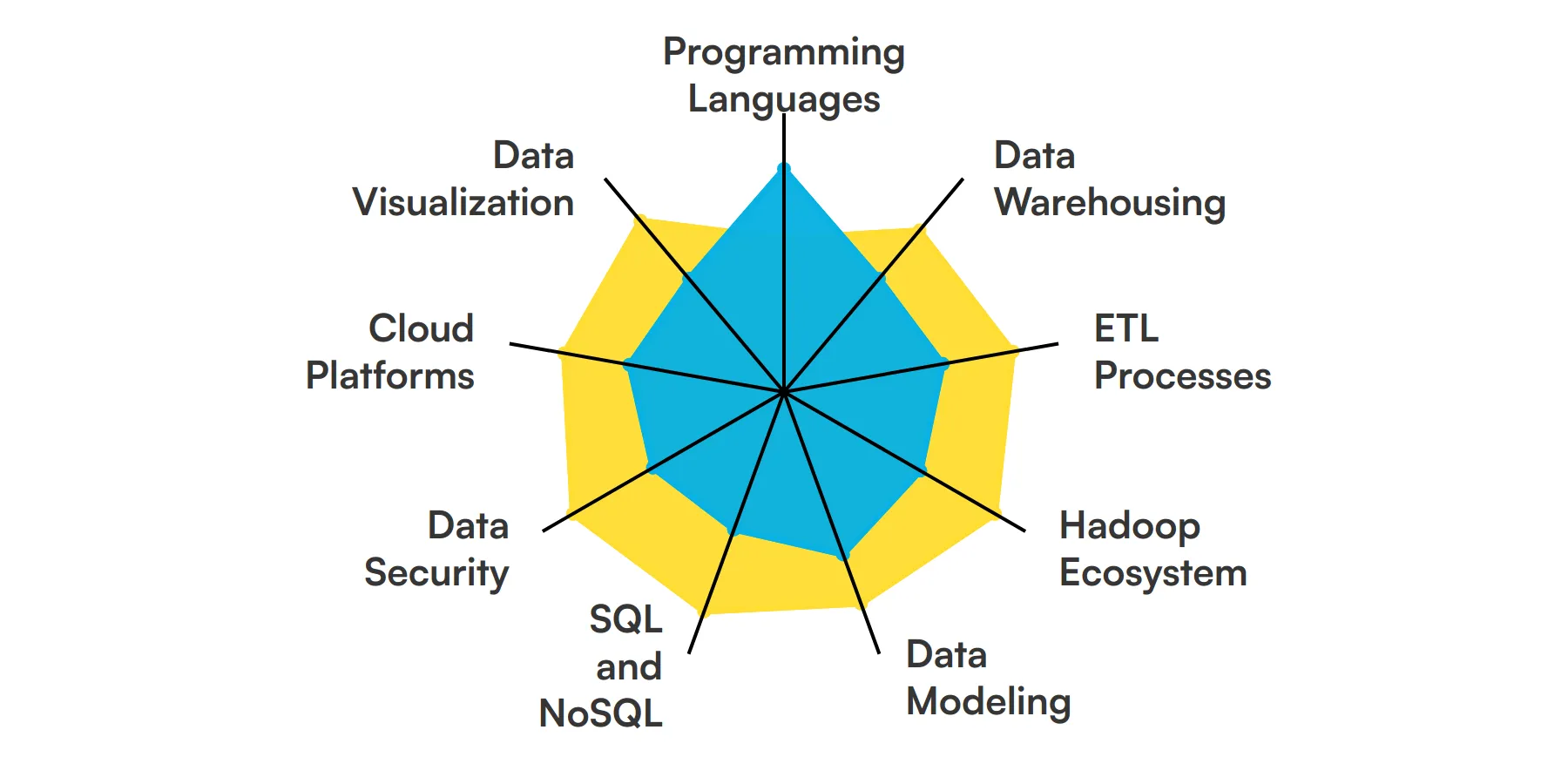 9 fundamental Big Data Engineer skills and traits