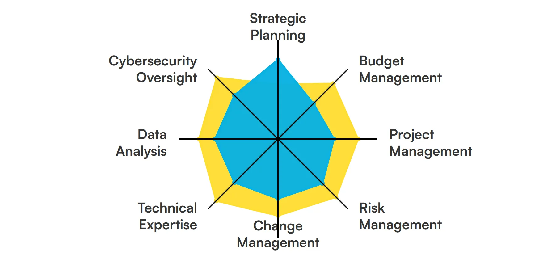 8 fundamental IT Director skills and traits