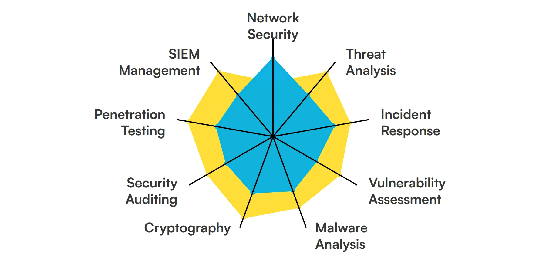 9 fundamental Cyber Security Analyst skills and traits