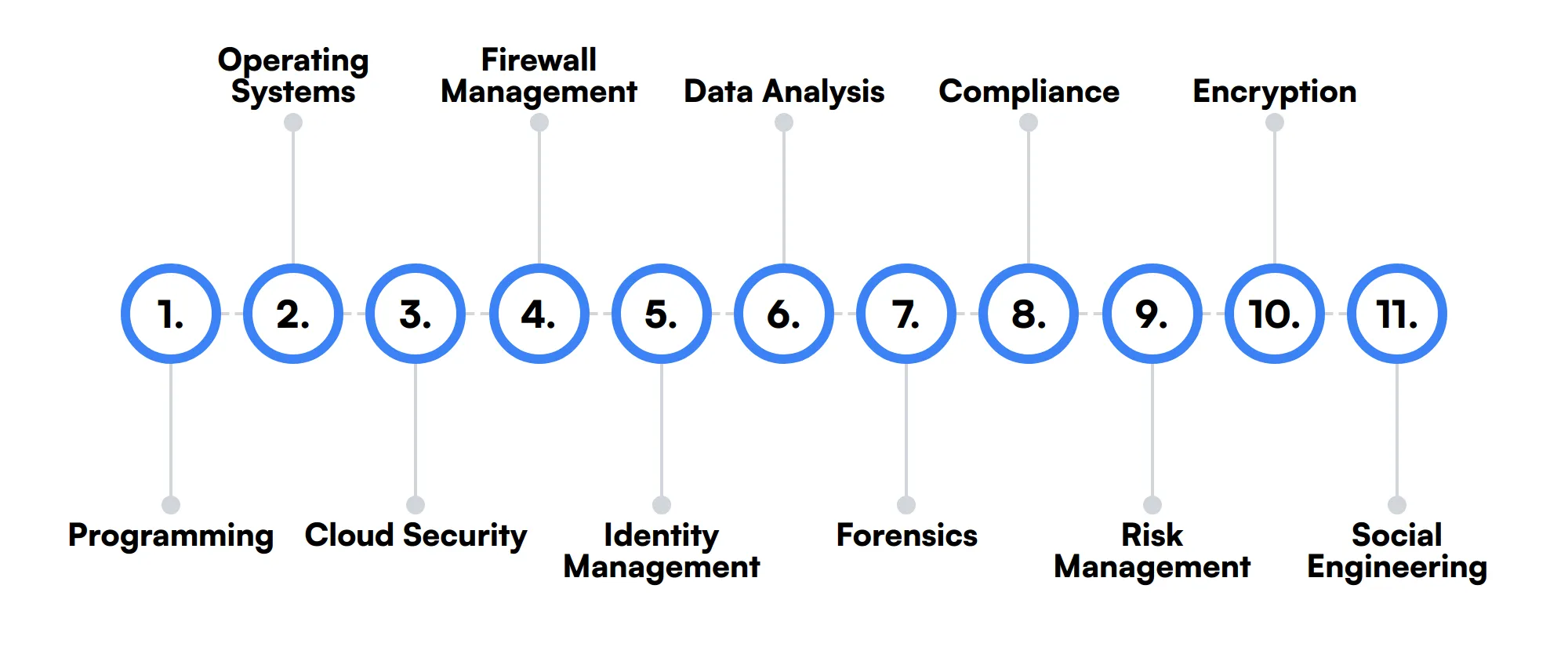 11 secondary Cyber Security Analyst skills and traits