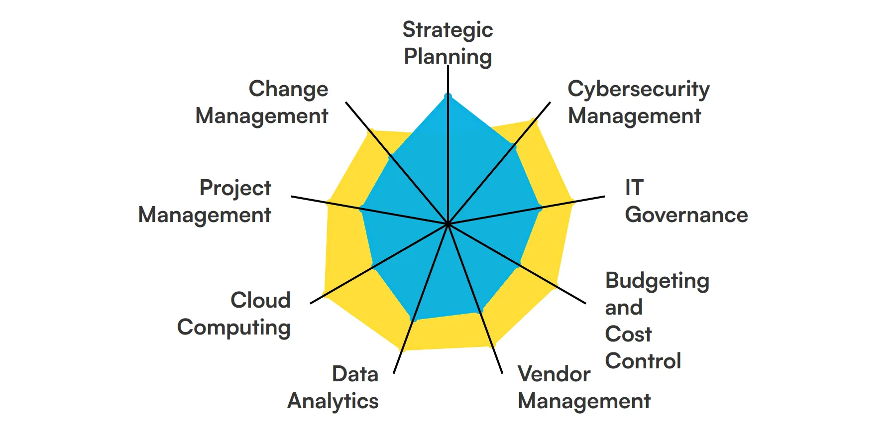 9 fundamental Chief Information Officer skills and traits