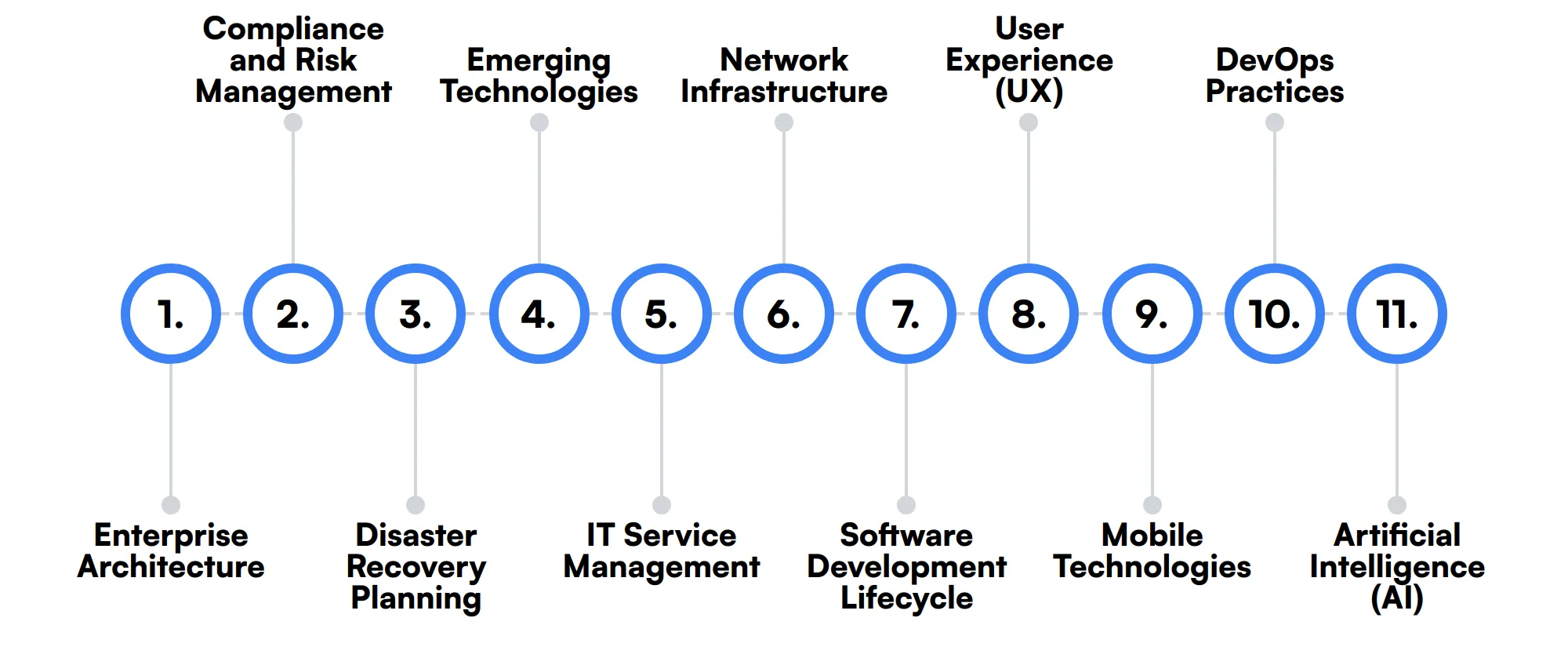 11 secondary Chief Information Officer skills and traits