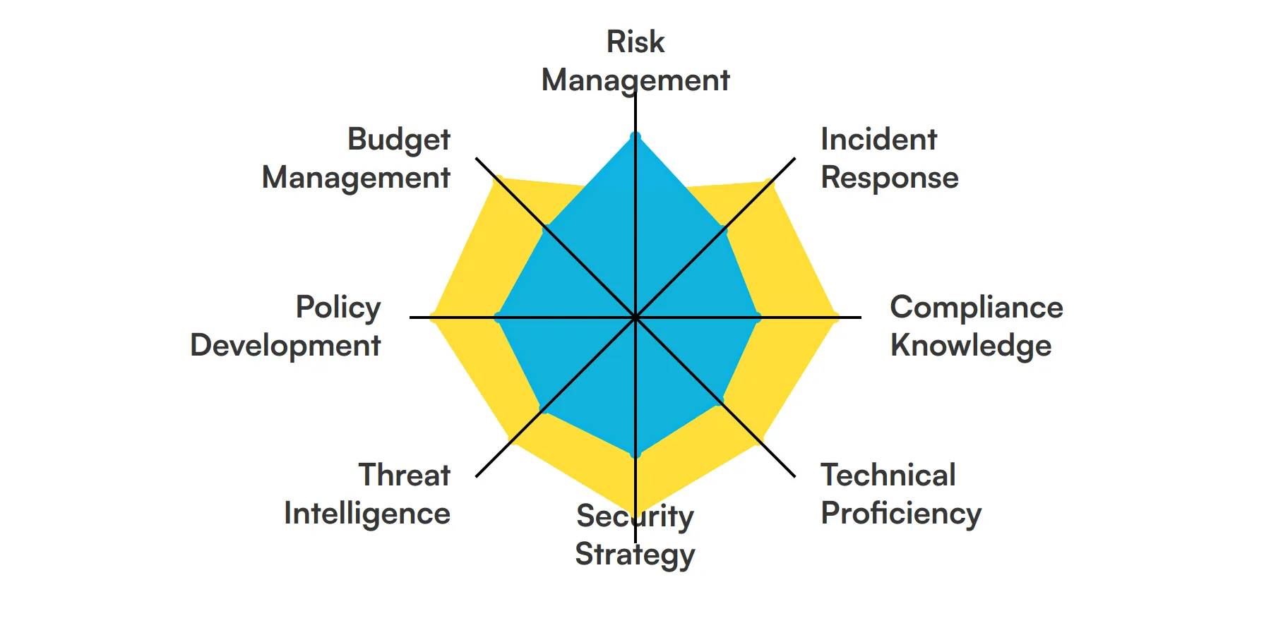 8 fundamental Chief Information Security Officer skills and traits