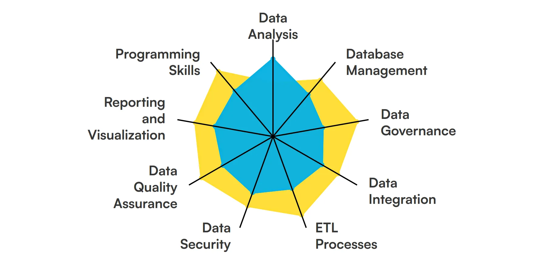 9 fundamental Data Manager skills and traits