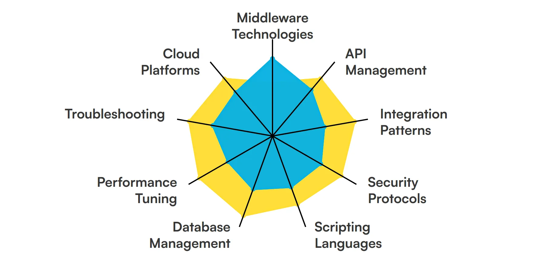 9 fundamental Middleware Developer skills and traits