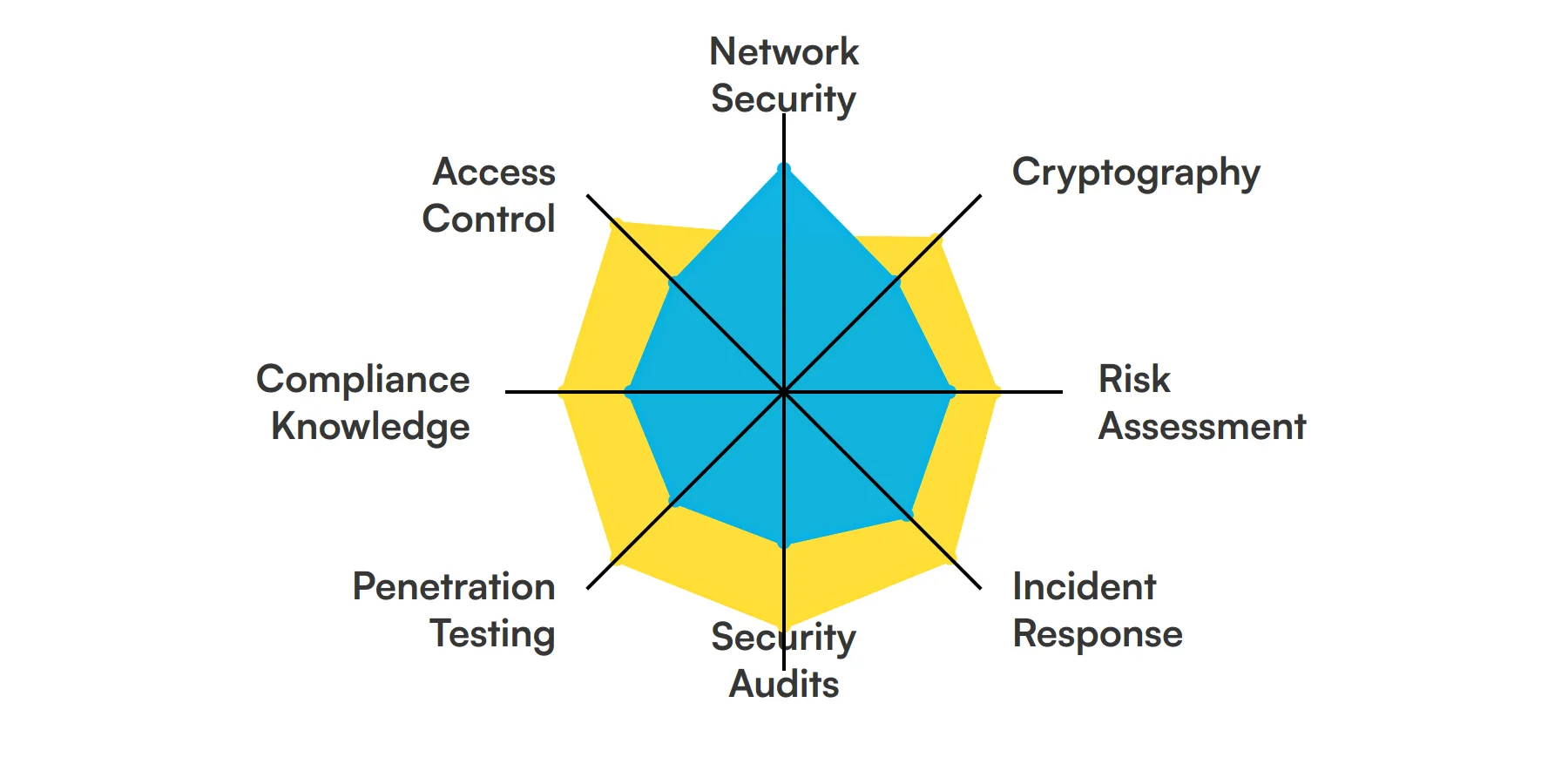 8 fundamental System Security Expert skills and traits