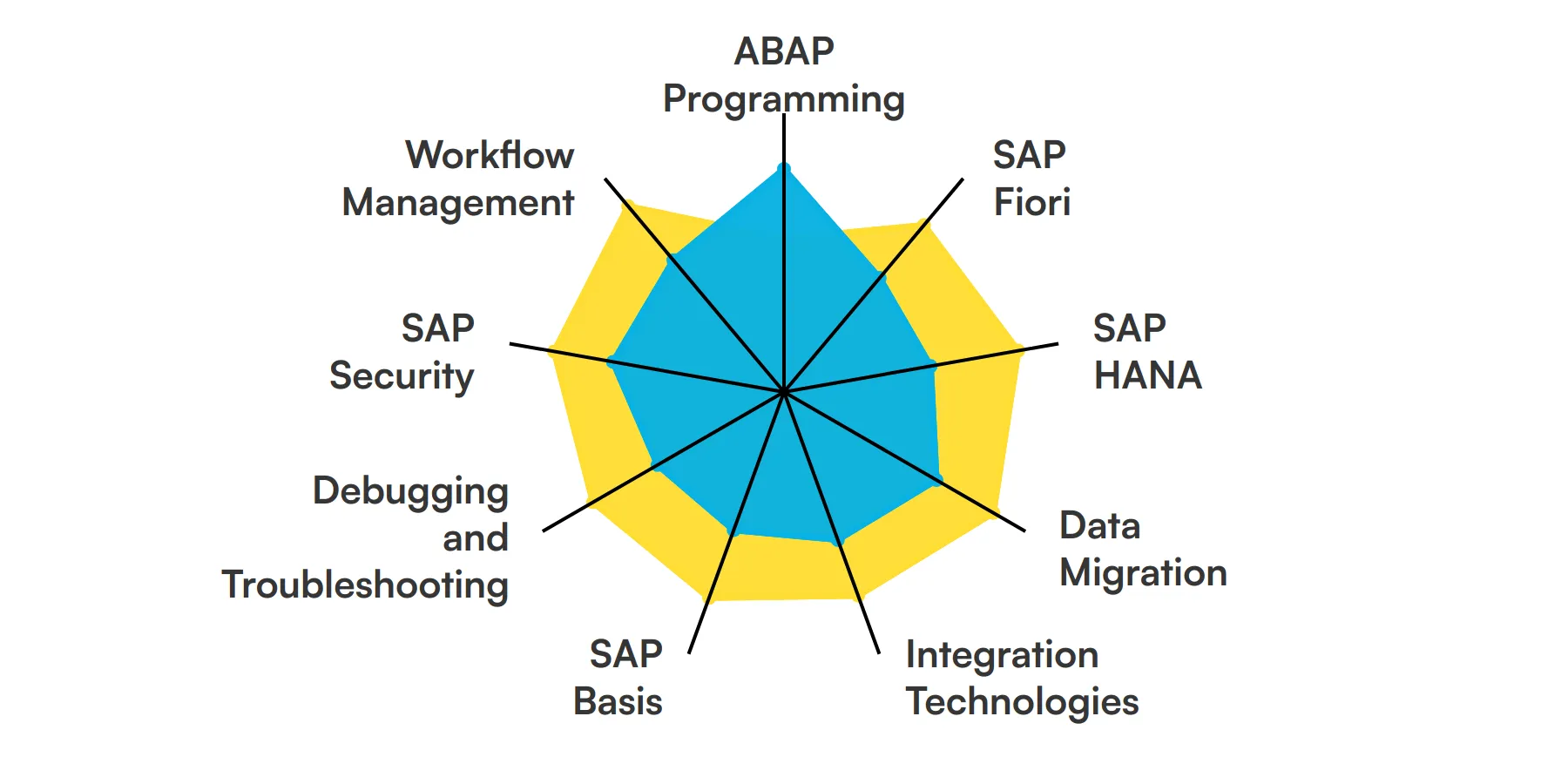 9 fundamental Sap Technical Consultant skills and traits