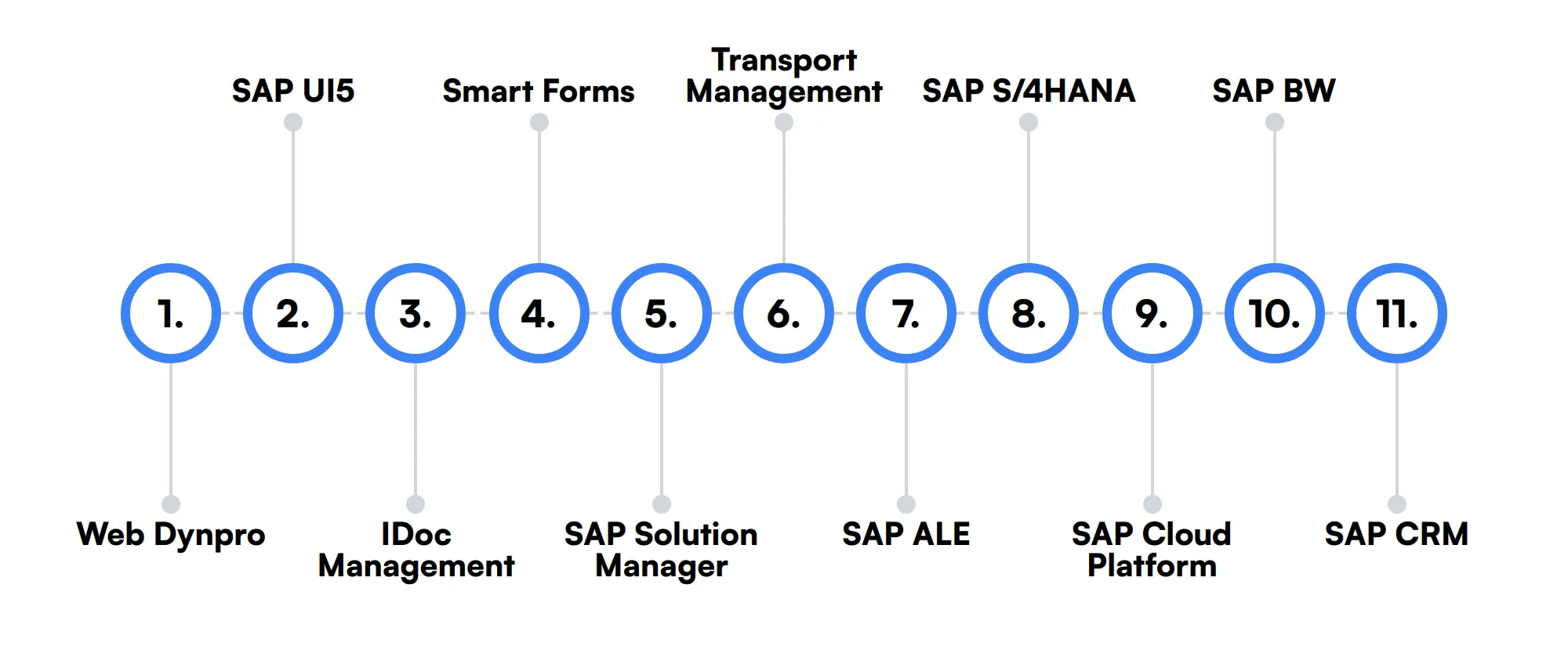 11 secondary Sap Technical Consultant skills and traits