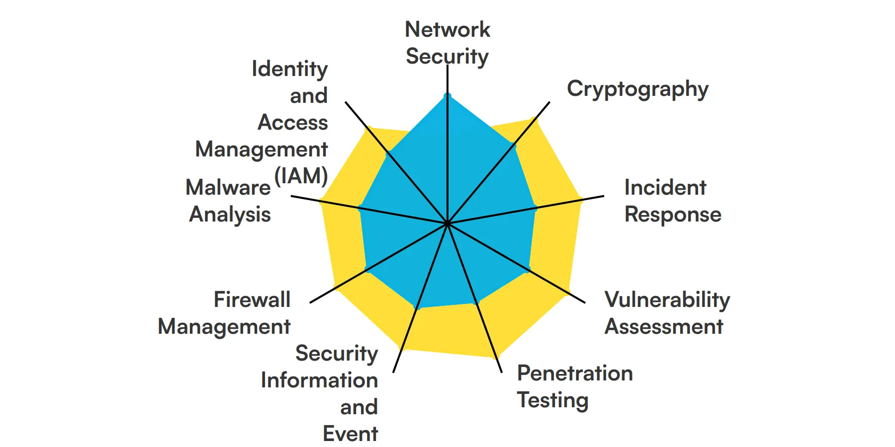 9 fundamental Cyber Security Engineer skills and traits