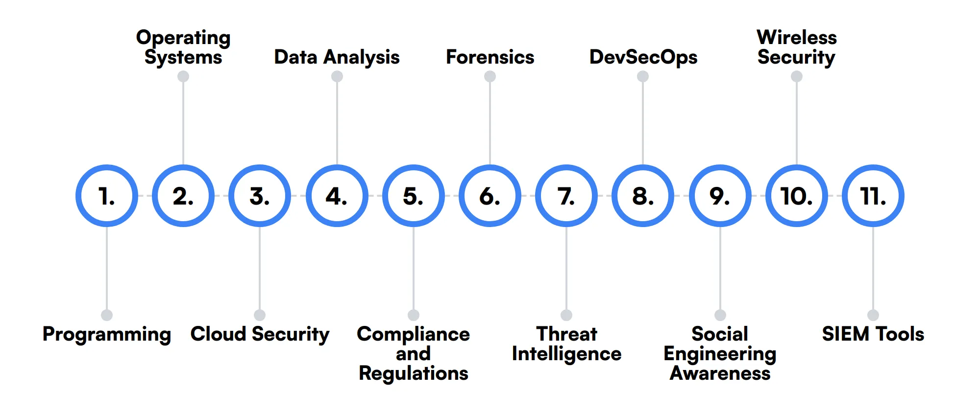 11 secondary Cyber Security Engineer skills and traits