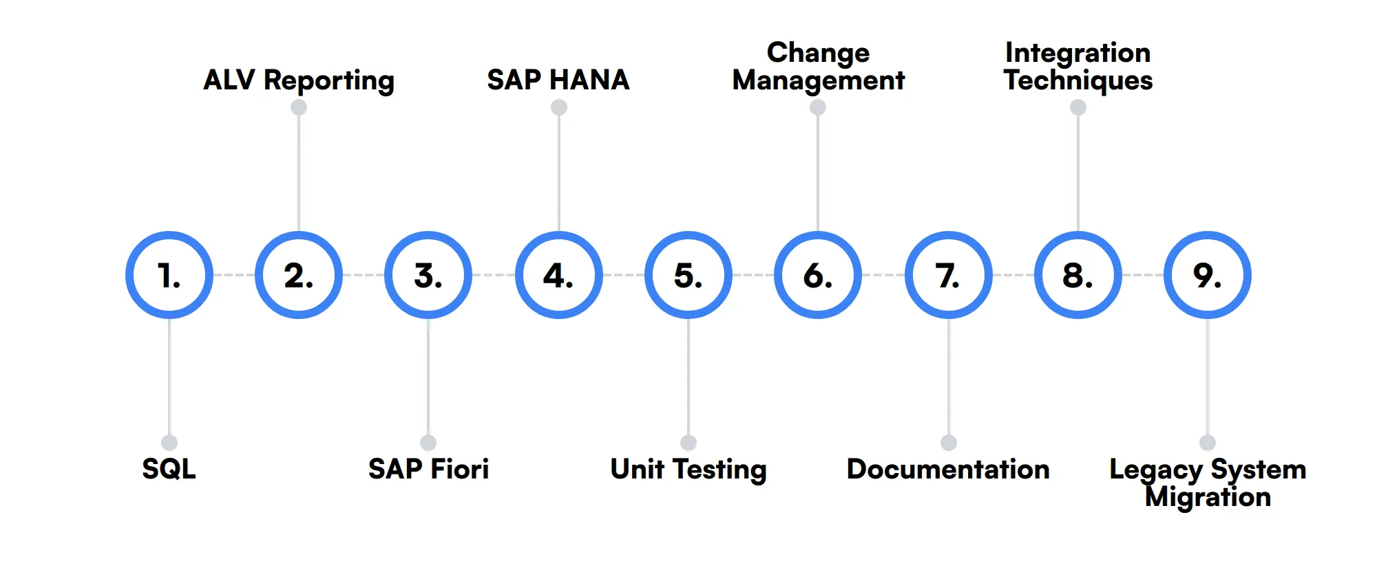 9 secondary SAP ABAP Developer skills and traits