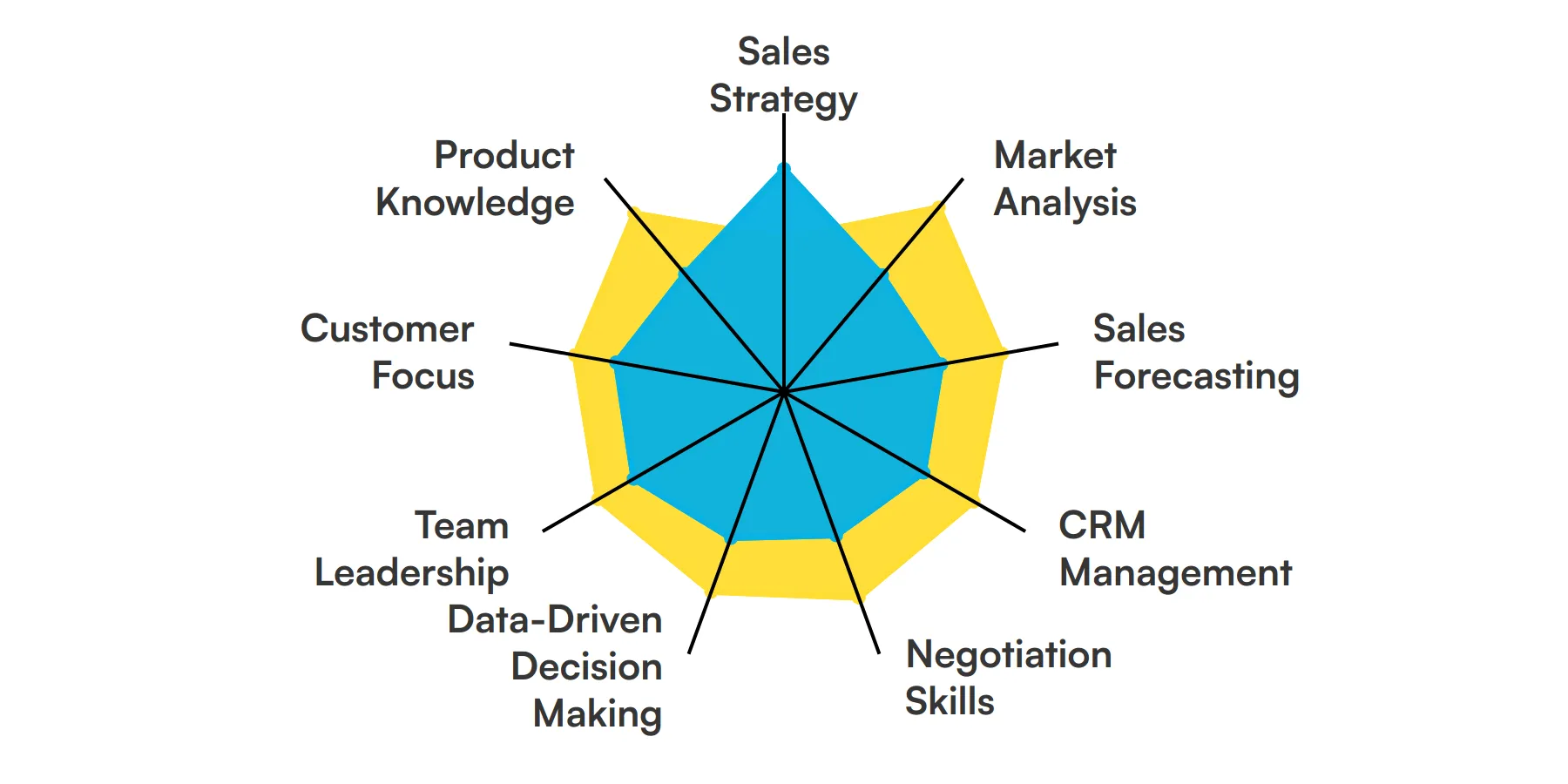 9 fundamental VP of Sales skills and traits