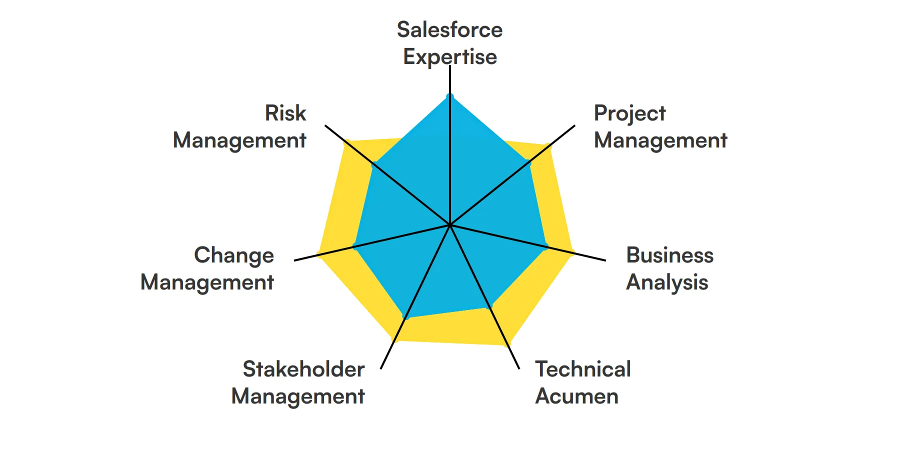 7 fundamental Salesforce Project Manager skills and traits