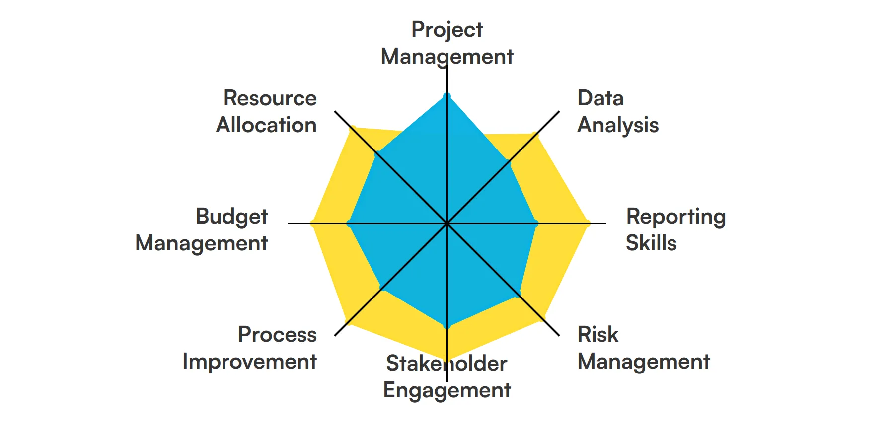 8 fundamental PMO Analyst skills and traits