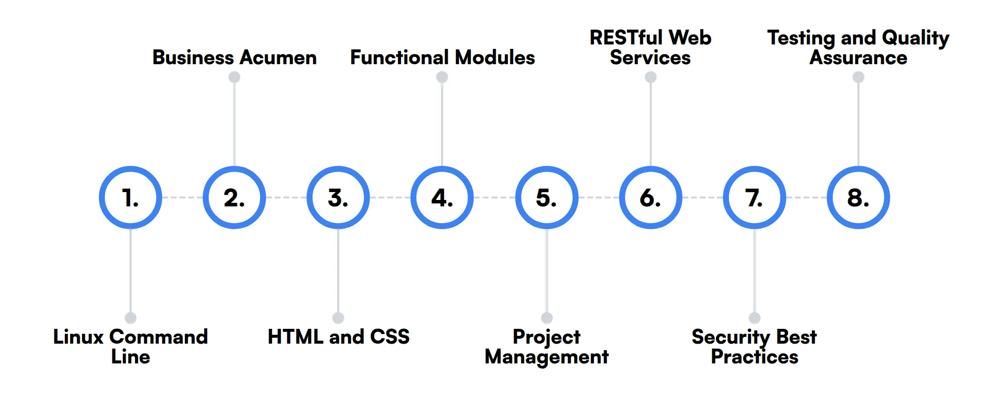8 secondary Odoo Developer skills and traits