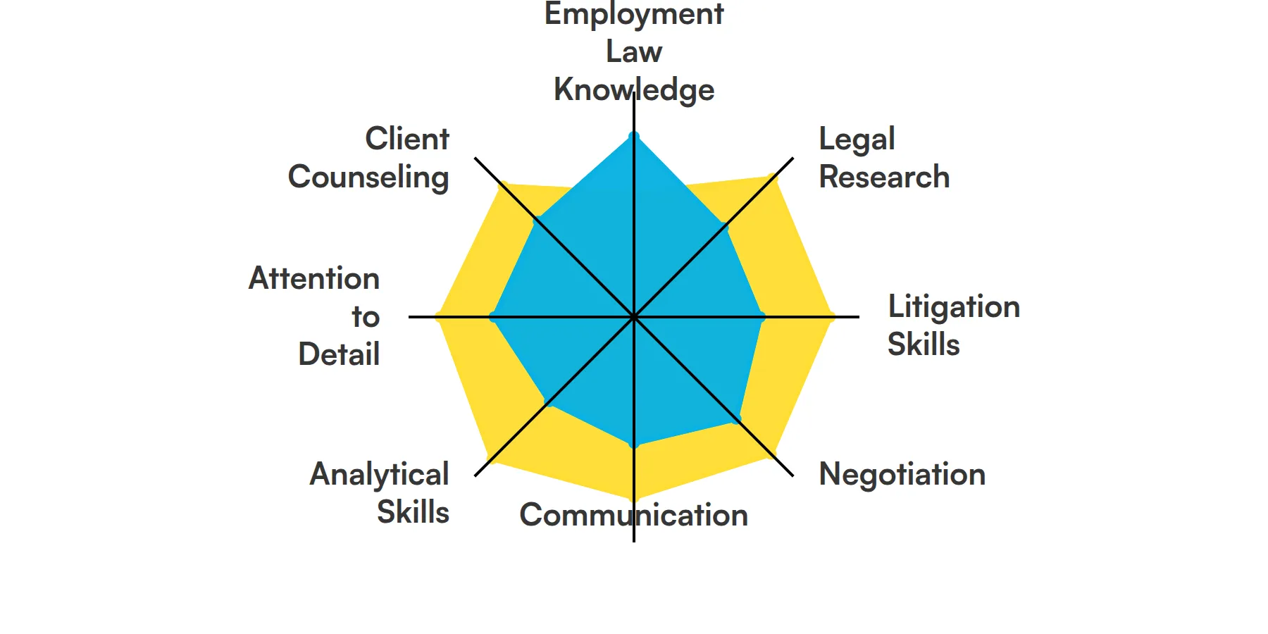 8 fundamental US Employment Lawyer skills and traits