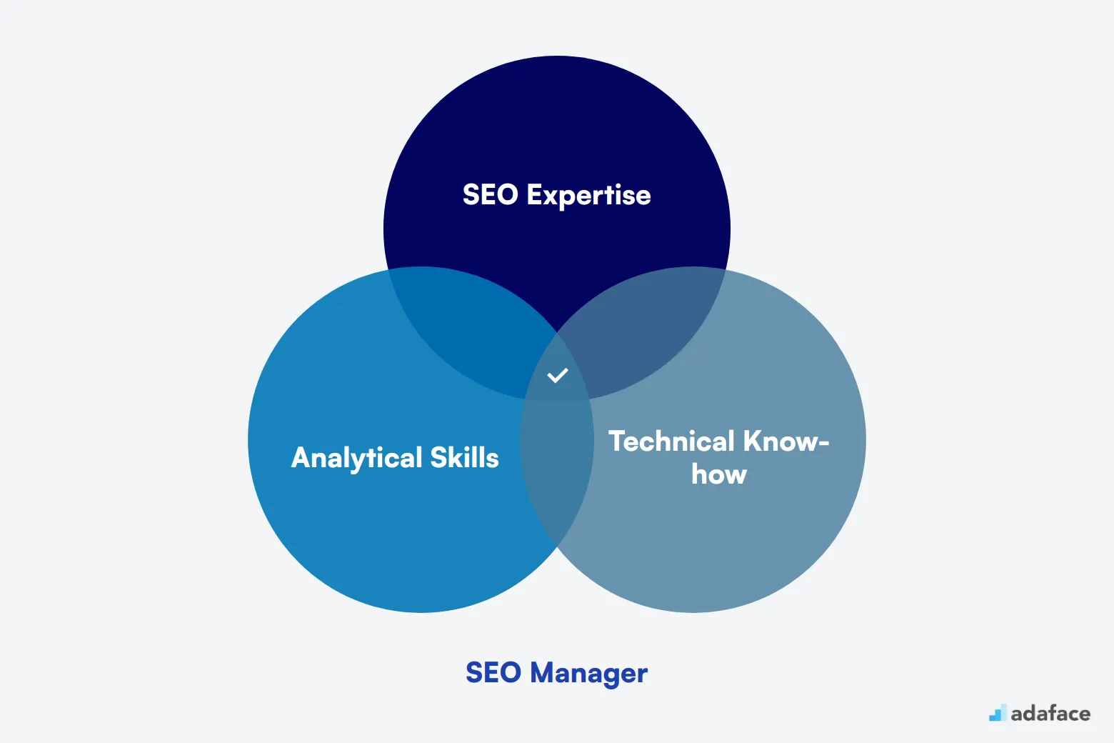 What makes up an ideal candidate for SEO Manager
