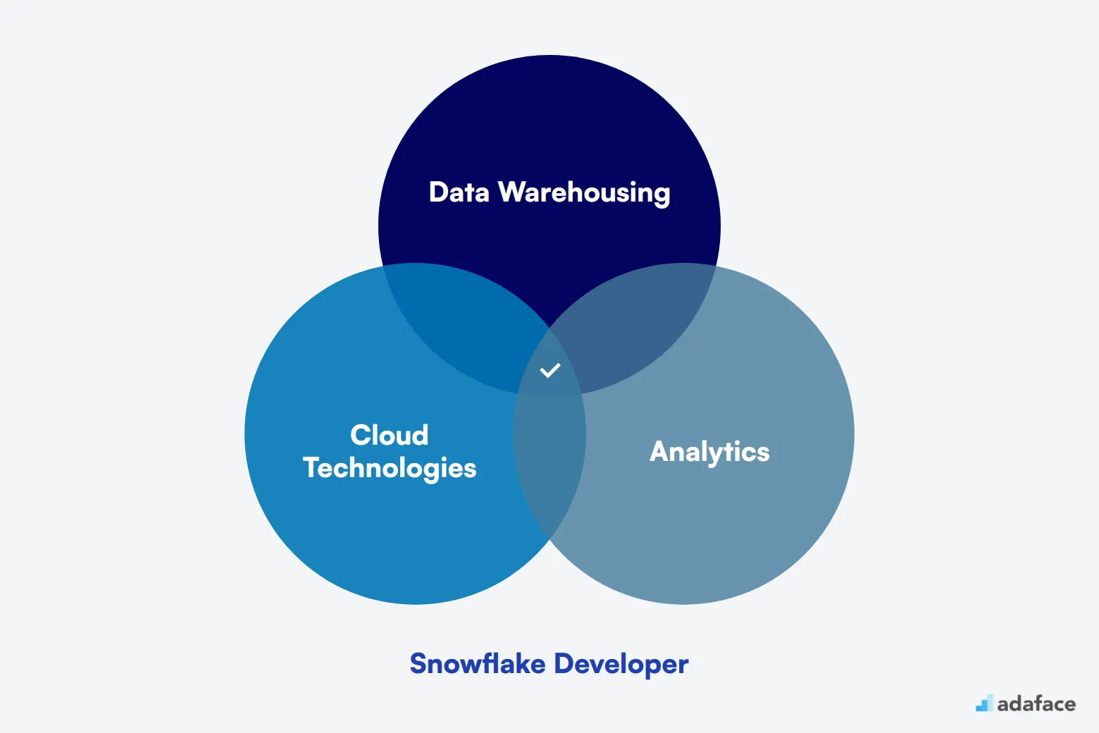 What makes up an ideal candidate for Snowflake Developer