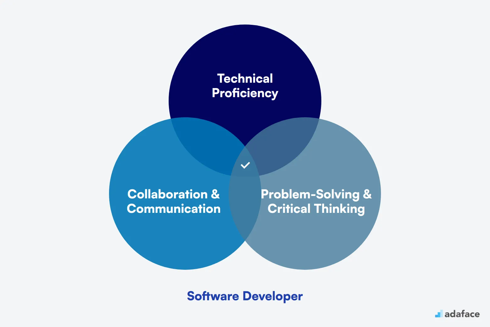 What makes up an ideal candidate for Software Developer